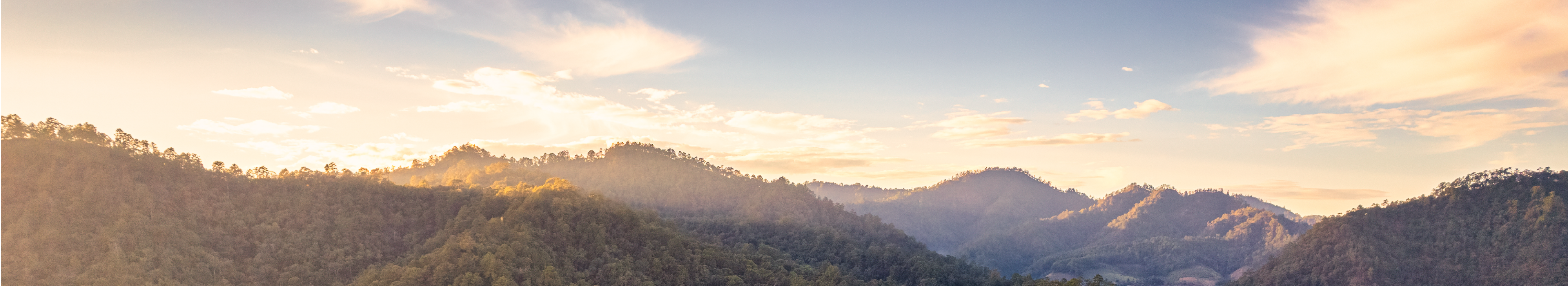 Sumatra Landscape