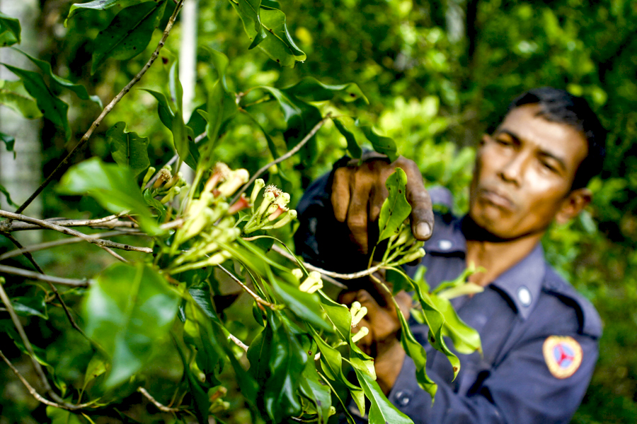 Petani Sumatra
